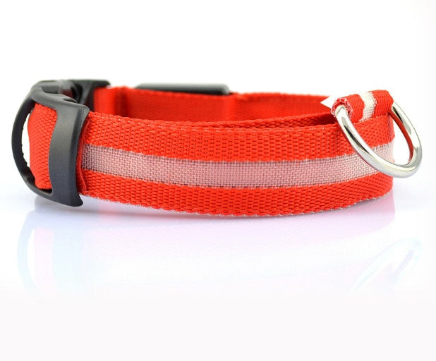 GlowSafe LED Dog Collar – Walk Bright, Stay Visible