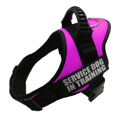 Personalized No-Pull Dog Harness – Safe, Reflective & Comfy