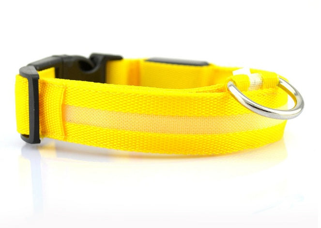 GlowSafe LED Dog Collar – Walk Bright, Stay Visible