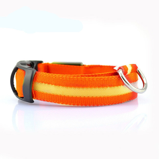 GlowSafe LED Dog Collar – Walk Bright, Stay Visible
