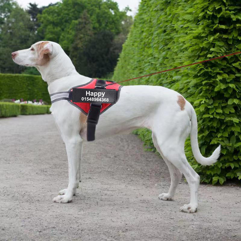 Personalized No-Pull Dog Harness – Safe, Reflective & Comfy