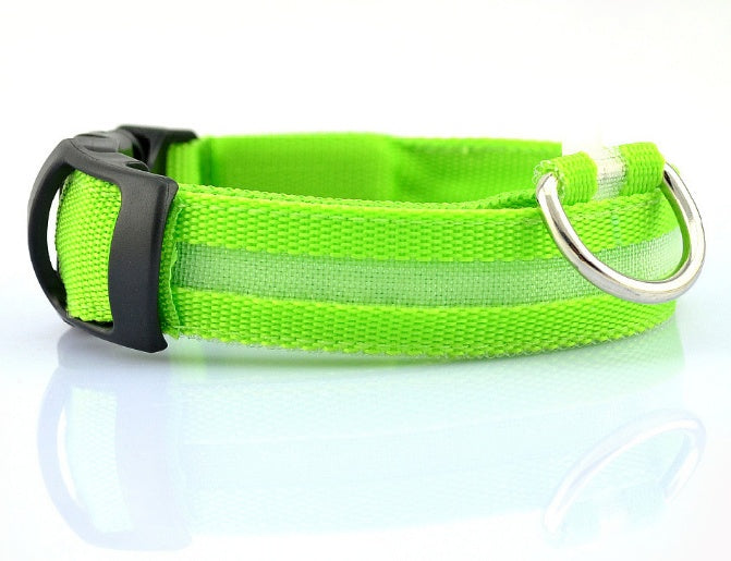 GlowSafe LED Dog Collar – Walk Bright, Stay Visible