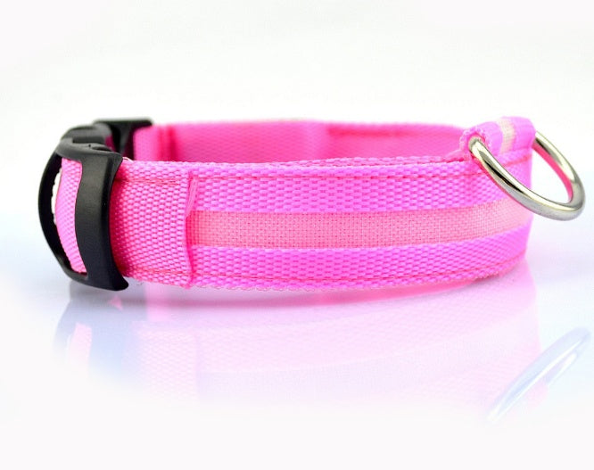 GlowSafe LED Dog Collar – Walk Bright, Stay Visible