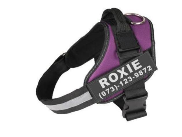 Personalized No-Pull Dog Harness – Safe, Reflective & Comfy
