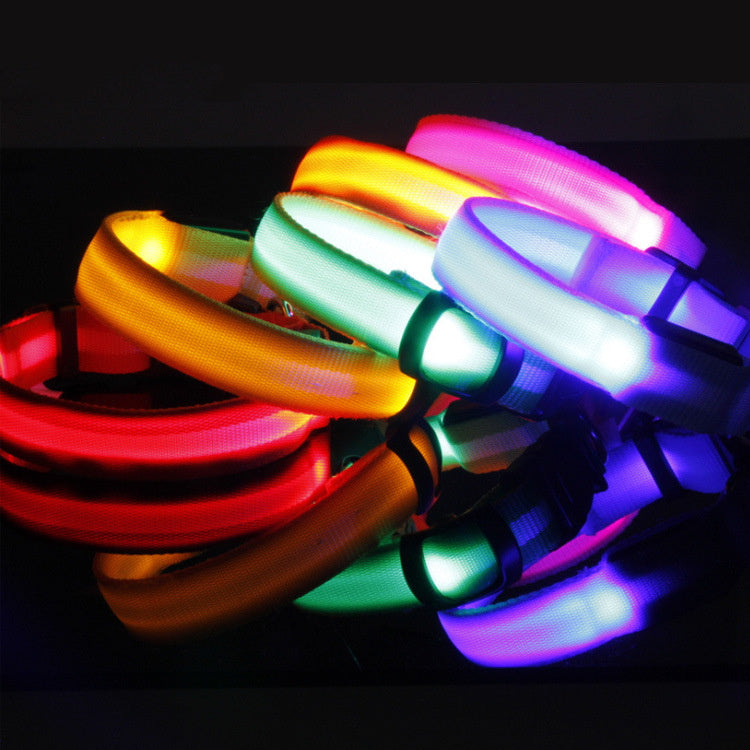 GlowSafe LED Dog Collar – Walk Bright, Stay Visible