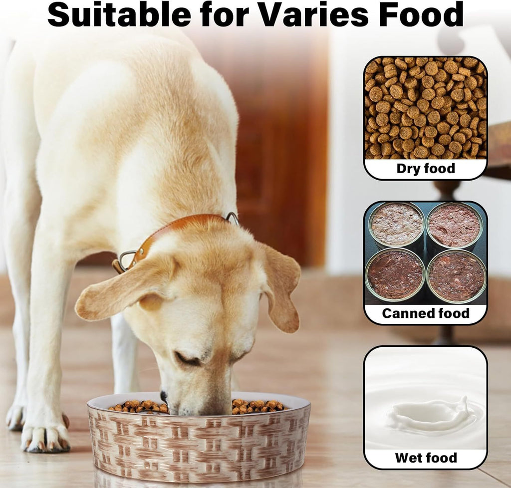 Premium Non-Slip Ceramic Slow Feeder – Happy, Healthy Dogs