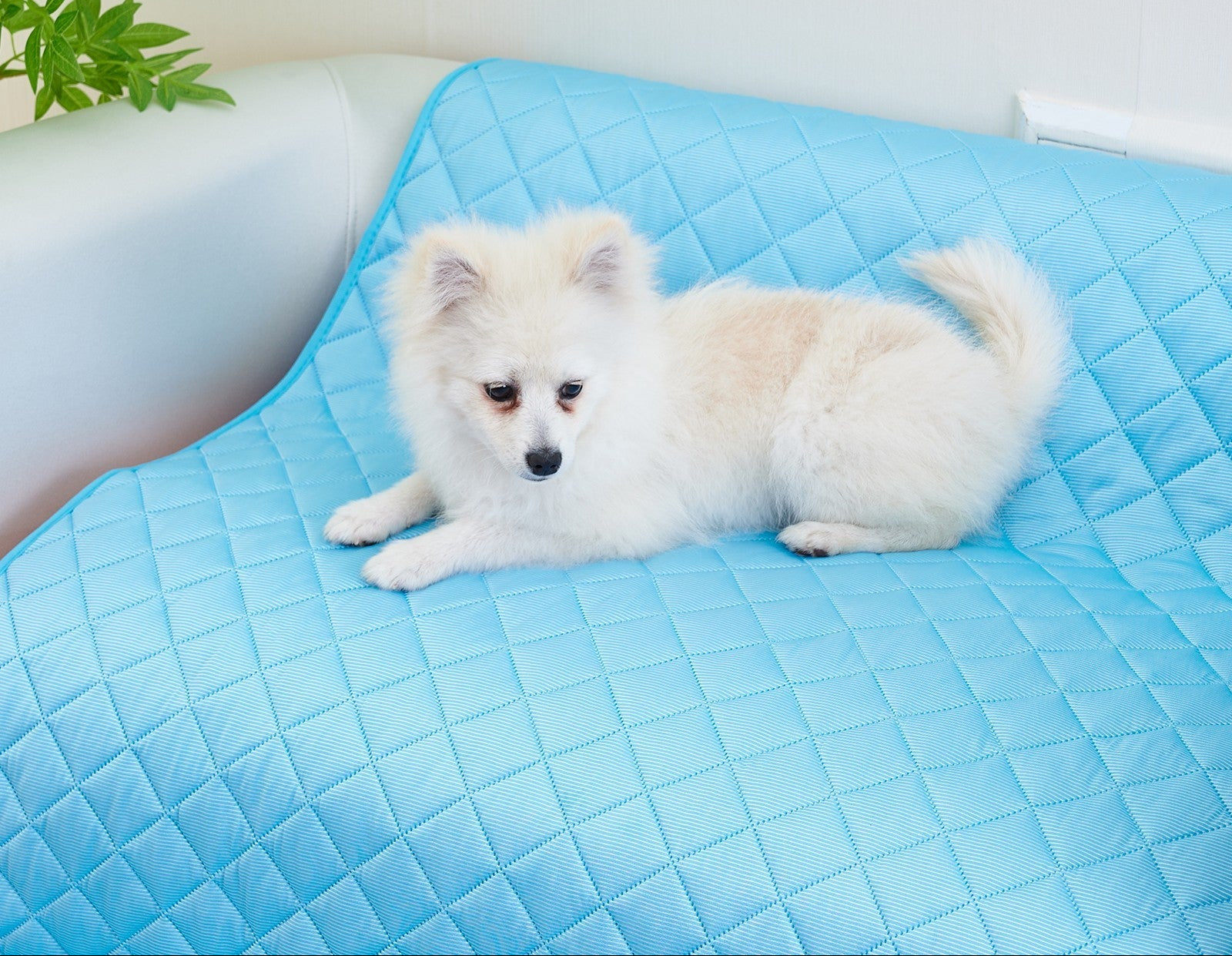Self-Cooling Pet Pad – Beat Heat, Relax, Enjoy!