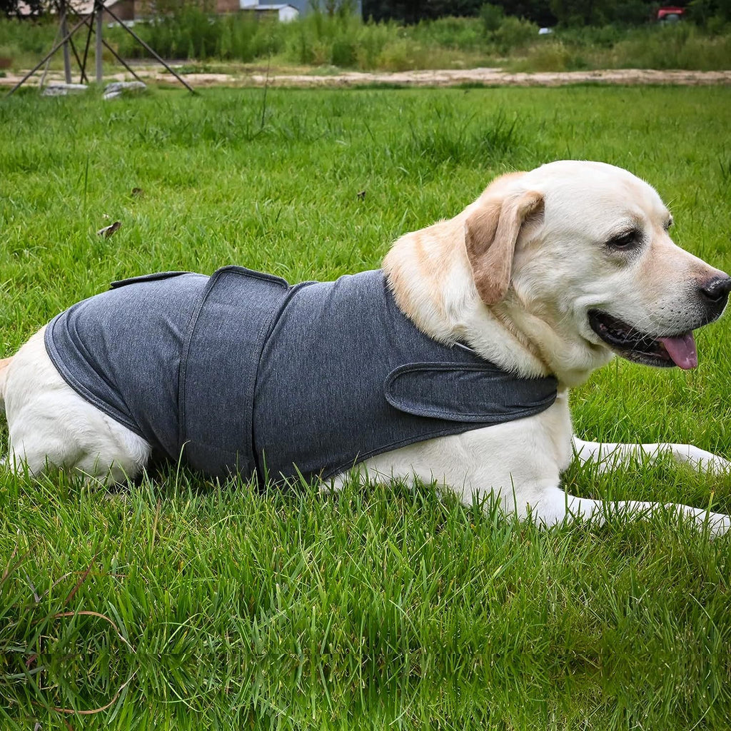 Calming Dog Anxiety Jacket for Stressful Moments and Peaceful Days