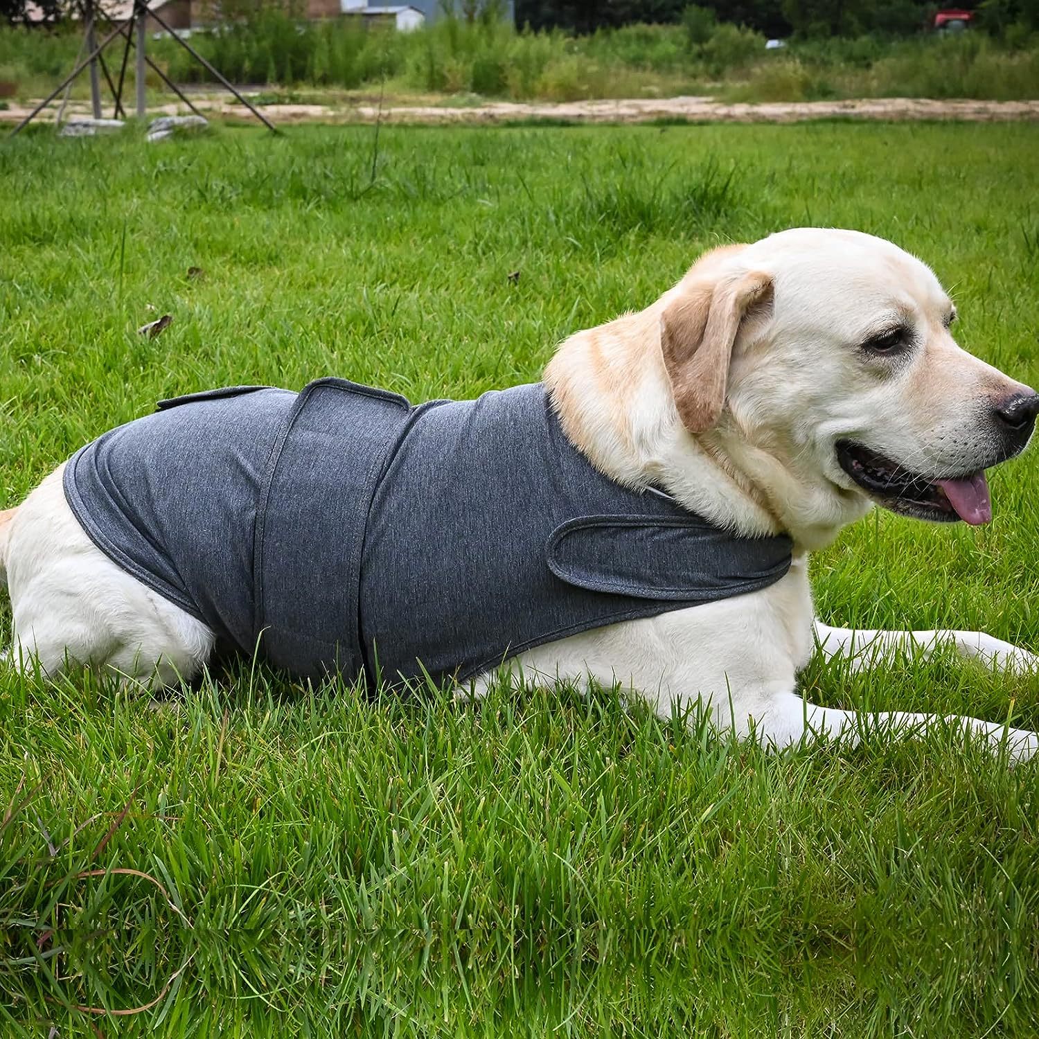 Calming Dog Anxiety Jacket for Stressful Moments and Peaceful Days