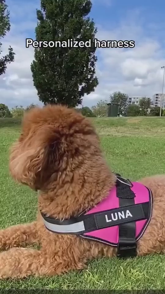 Personalized No-Pull Dog Harness – Safe, Reflective & Comfy